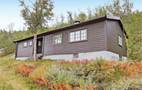 3 Bedroom Amazing Home In Haugastøl